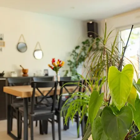 Villa Maison Tulipe 3ch