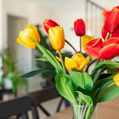 Villa Maison Tulipe 3ch *